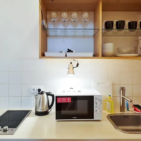 Appartement Vita Nejedleho Prague